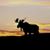 Vickie King's profile image