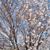 Natalie D. Bakke's profile image