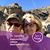 Sandy Wilson's profile image