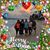 Patricia M. Downs's profile image