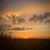 Harmony Lynn Littrell's profile image