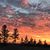 Kathy Lamm Dixon's profile image