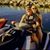 Pam Welsh's profile image