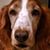 Bob Wieser's profile image