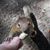 Angie Lanter's profile image