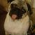 Cheryl Wakefield Puletti's profile image