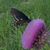Sue Pugh's profile image