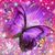 Alice Mountcastle's profile image