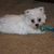 Sandra Marchant's profile image