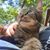 Catlynn Beach's profile image