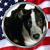 Lisa J.'s profile image