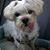 Trever A. Metcalf's profile image
