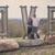 Whitney Lauren Sipe's profile image