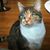 Dolores Peralta's profile image