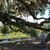 Debbie Waters Pitts's profile image