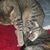 Joann Gawronski Brophy's profile image