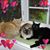 Lori Stayton's profile image