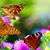 Habibullah Habib's profile image