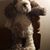 Tracy Hosler's profile image