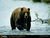 Bud R.'s profile image