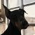 Rick V. Clausen's profile image
