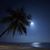 Linda Noonan Sauter's profile image
