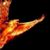 Chancy J Wells's profile image