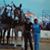 Melissa Aulidge Neal's profile image