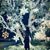 Jimin Chung's profile image