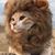 Richard Ds Rudzena's profile image