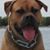 C.j. Tuell's profile image