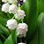 Tahar Charfi-tahar's profile image