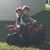 David Brumfield's profile image