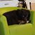 Michelle Bush Bowie's profile image