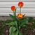 Patti Johns-Unger's profile image