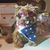 Mirmina Michael's profile image