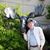 David Curry's profile image