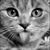 Wendy Walters's profile image