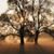 Fall Promise's profile image