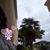 T Reyna Gluv Lee's profile image