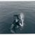 Jilly F. Beanez's profile image