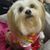 Debbie Kent's profile image