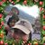 Apple Laureen's profile image
