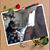 Debbie Mcewan's profile image