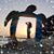 Dionne Harger's profile image