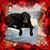 Kristin Ertl-Novick's profile image