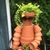 Joyce Boesgaard Homschek's profile image