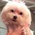 Diane Pompei Emery's profile image