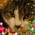 Kay Allard's profile image