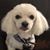 Antoinette Lisi's profile image